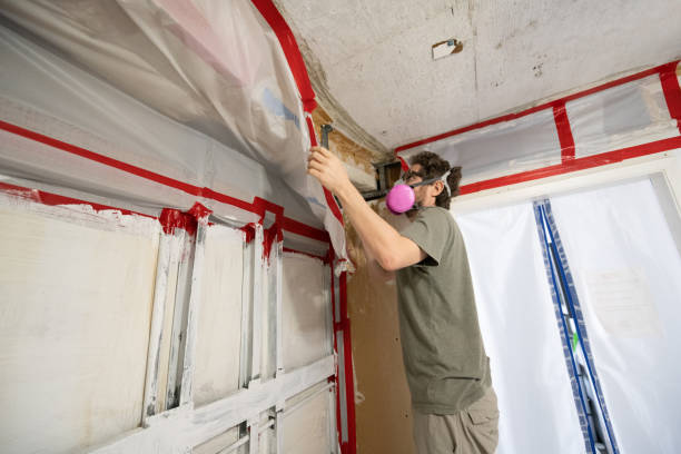 Best Mold Damage Restoration  in Airy Heights, WA