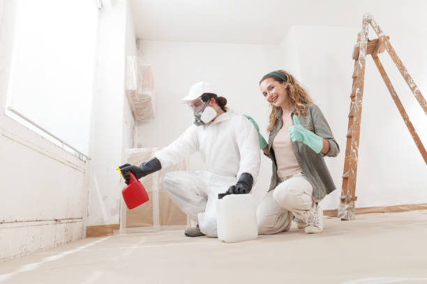 Best Mold Remediation for Healthcare Facilities  in Airy Heights, WA