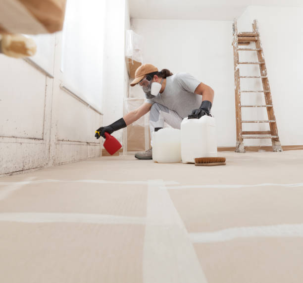 Best Mold Removal for HVAC Installations  in Airy Heights, WA